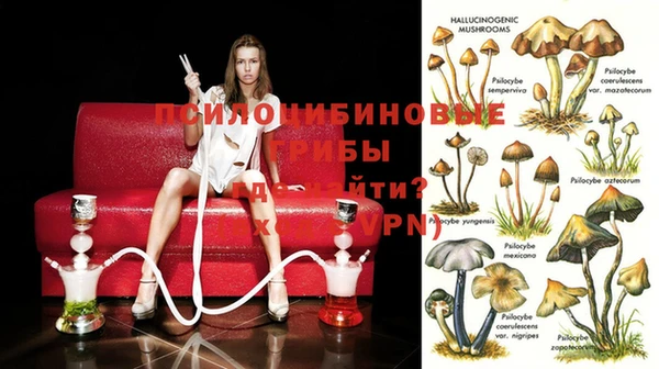 марки nbome Козельск