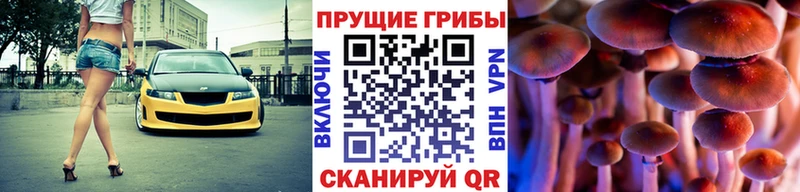 Галлюциногенные грибы Cubensis  гидра ТОР  Нариманов 
